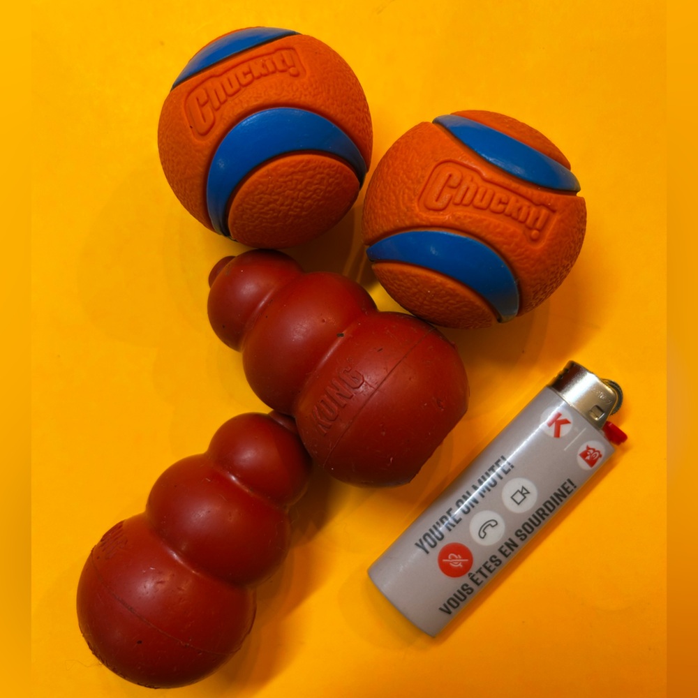 Chuckit and Kong Dog Toy Set